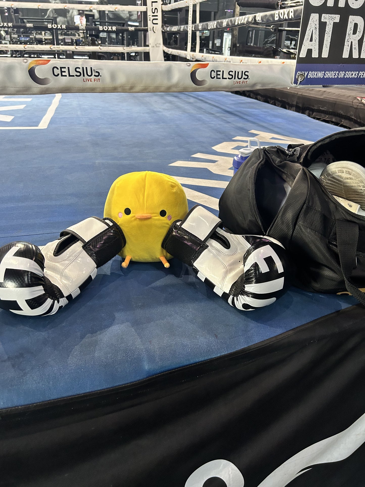 HENRY PLUSH
