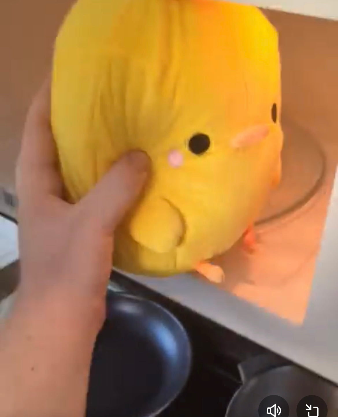 HENRY PLUSH