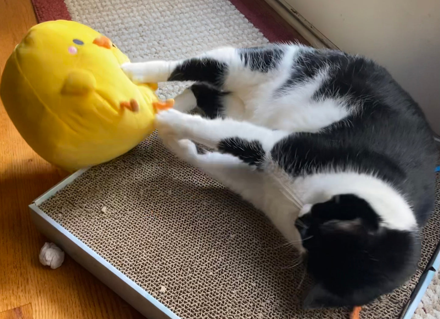 HENRY PLUSH